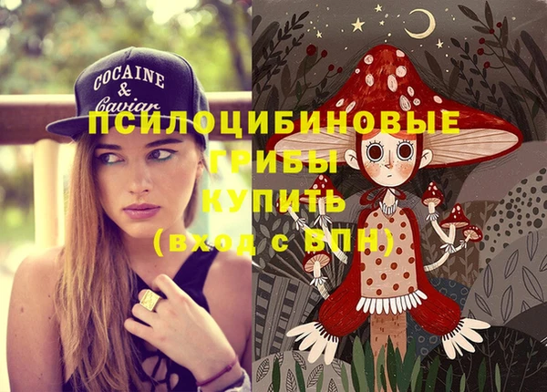 мдпв Алзамай