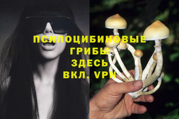 герыч Алексеевка