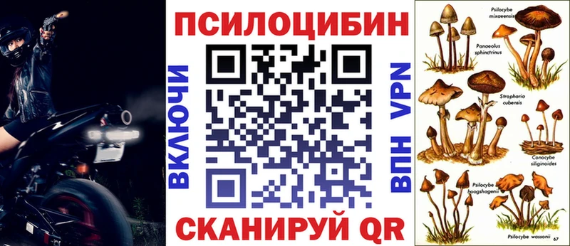 Псилоцибиновые грибы GOLDEN TEACHER  цены   ОМГ ОМГ как войти  Катайск 